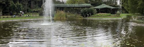 Lago Jardín Botánico