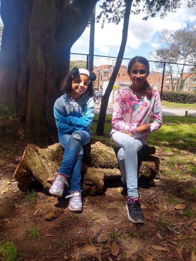 Las Flores Park