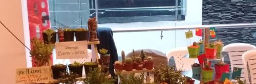 Lazos de Amor Mariano Sede Bogotá