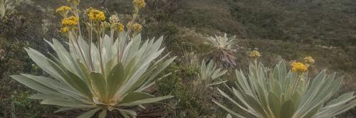 Matarredonda Ecological Park
