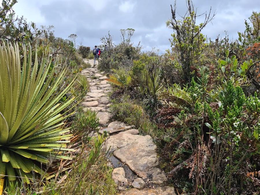 Matarredonda Ecological Park
