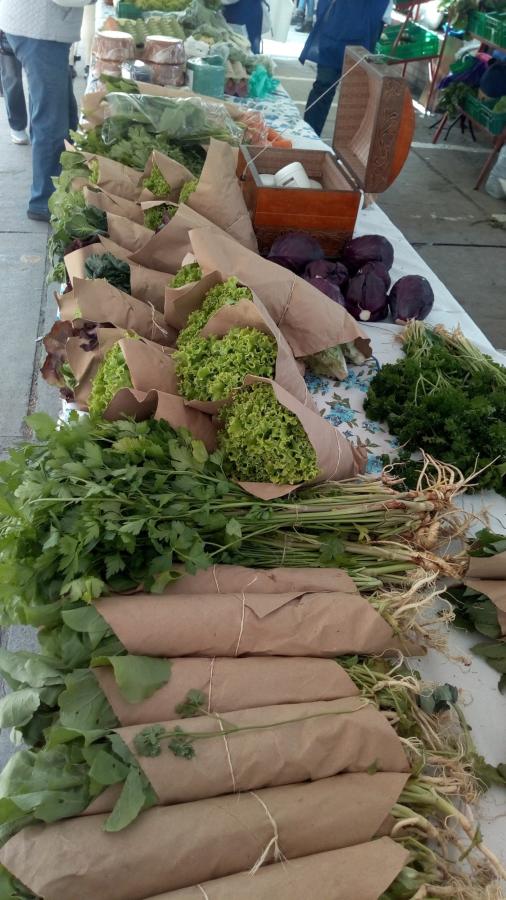 Mercado organico