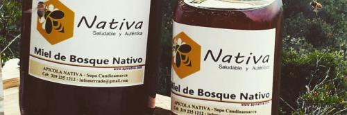 Miel Nativa