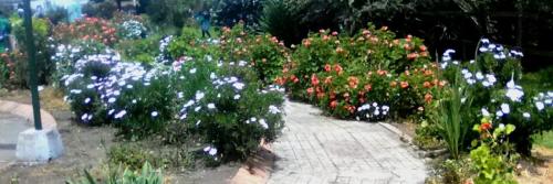 Parque Las Tinguas