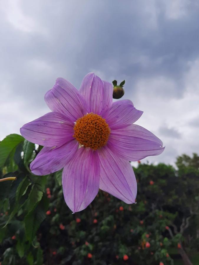 Parque Las Tinguas