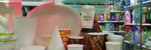 Platos Biodegradables