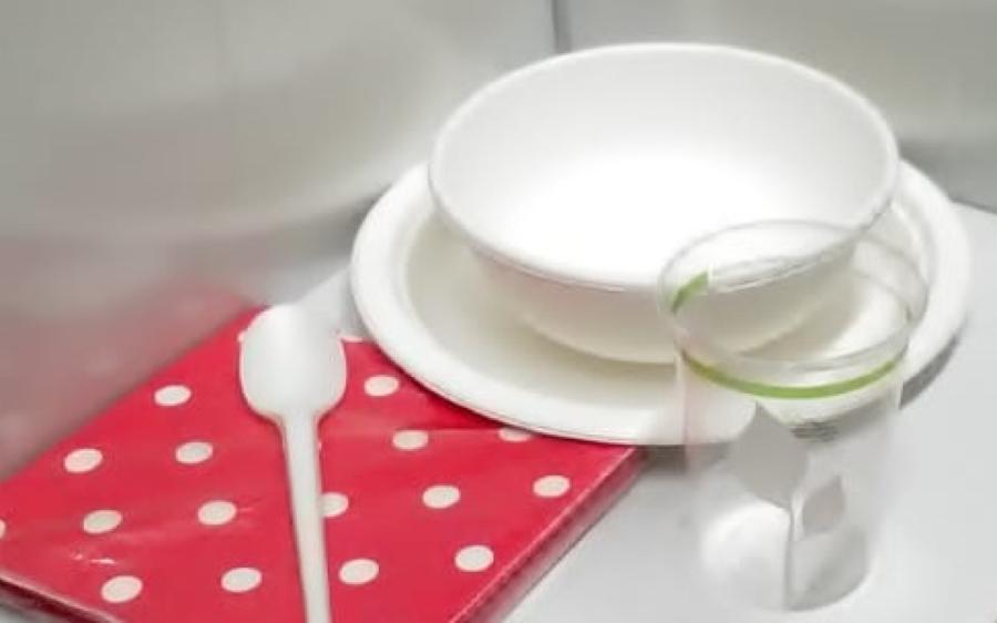 Platos Biodegradables