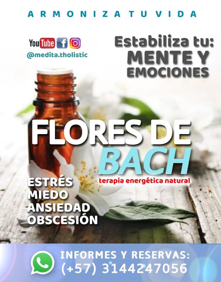 SALUD HOLÍSTICA, masaje energético