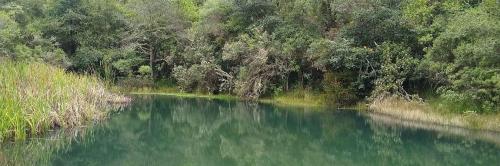 Reserva Biológica Encenillo