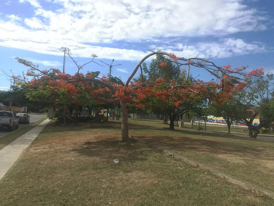 Parque Tazajal