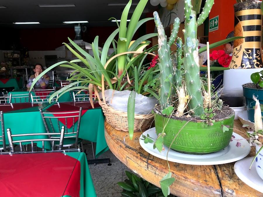Restaurante Vegetariano Jengibre