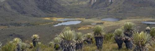 Caminatas Ecológicas Bogotá
