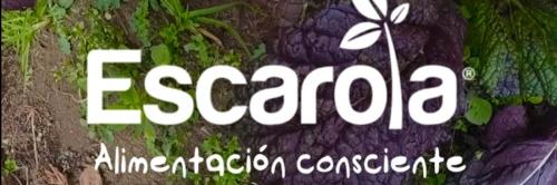 Escarola Orgánicos