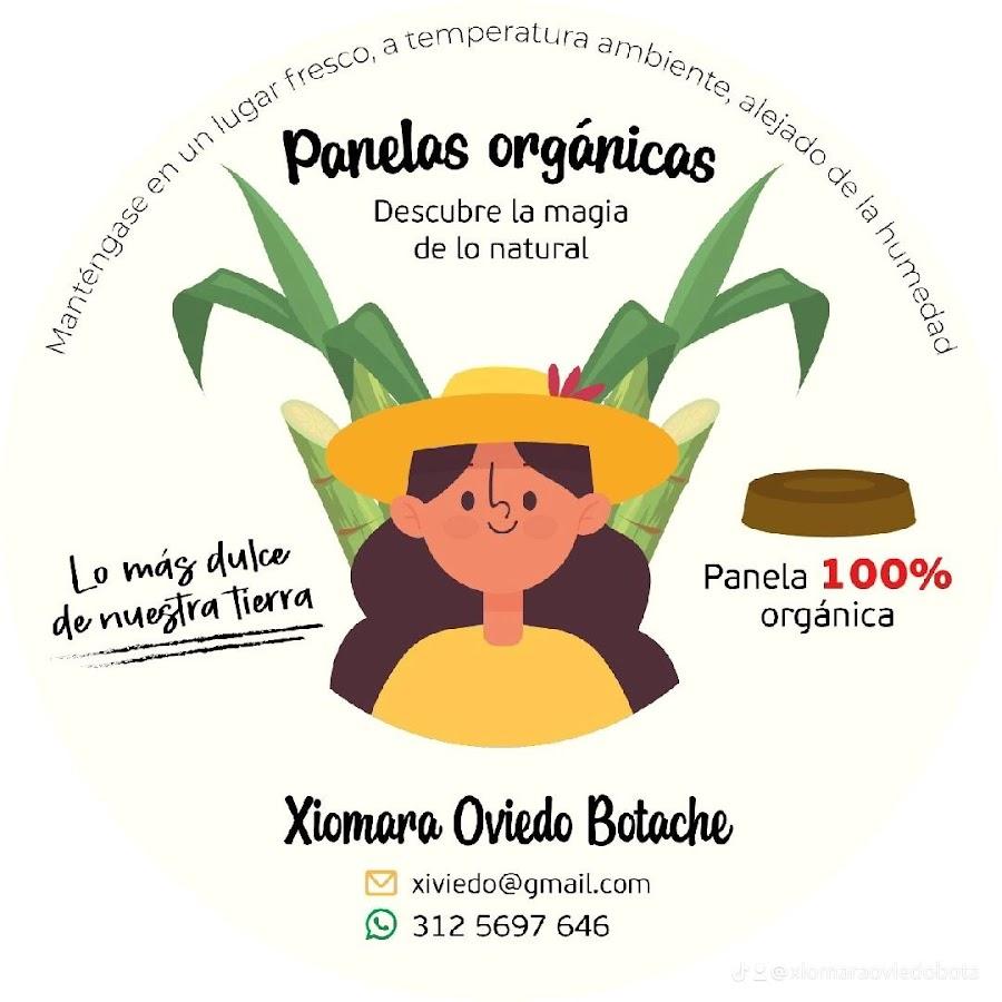 PANELAS ORGÁNICAS Y MIEL DE ABEJAS