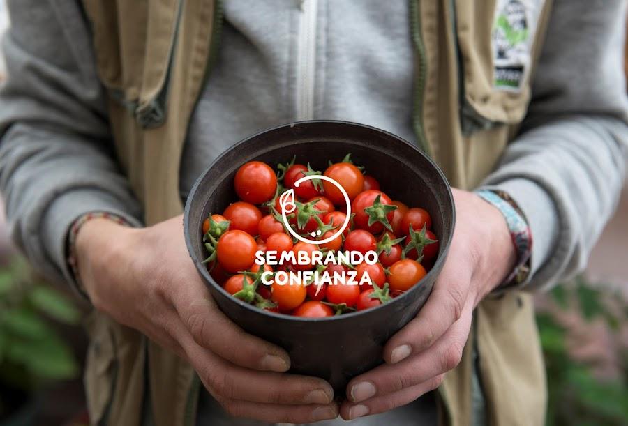 Sembrando Confianza