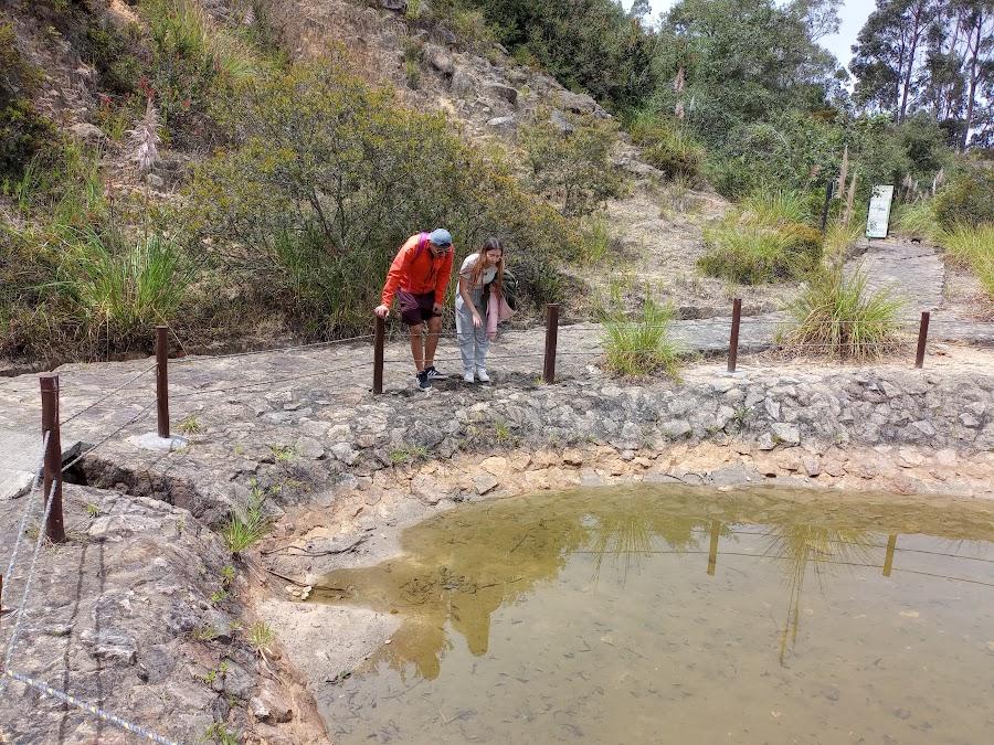 Aula ambiental Soratama