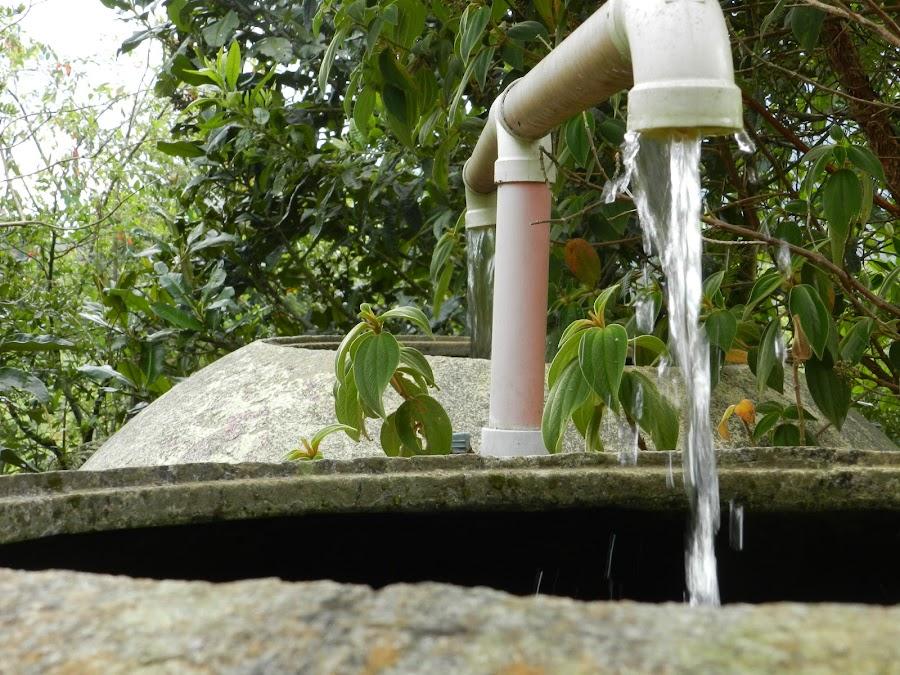 Bisvita Basura Cero