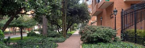 Calistenia Parque El Virrey