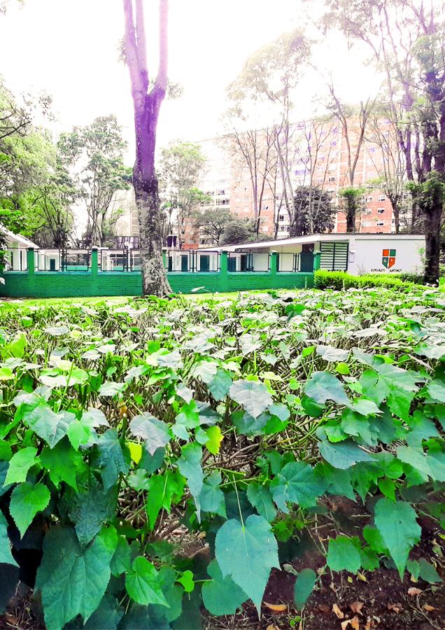 Colegio Gimnasio Antonio Nariño