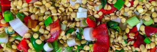 Come más Proteína Vegetal