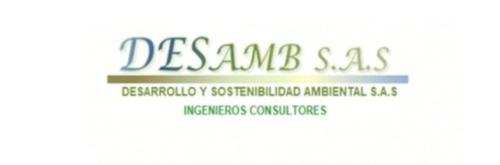 Desarrollo y sostenibilidad ambiental S. A. S.