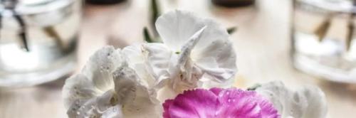 ESANAT ESTETICA Y SALUD NATURAL
