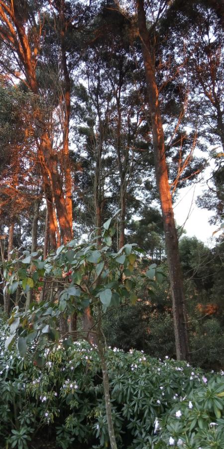 Finca Ecológica Las Nubes