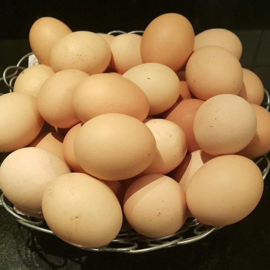 Frescorgánico