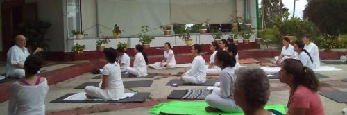 Fundación AMHA Colombia
