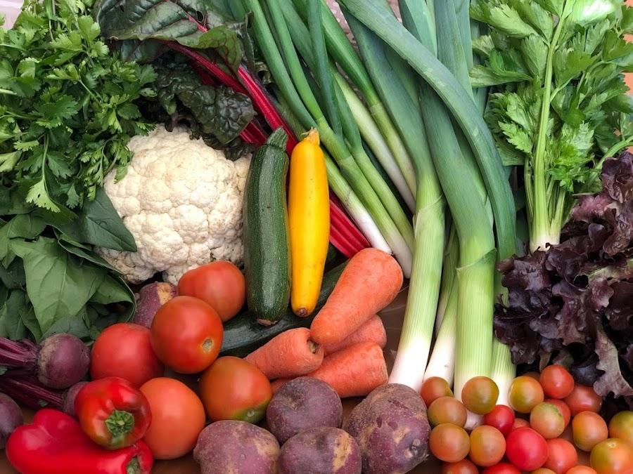 Horti Organiko