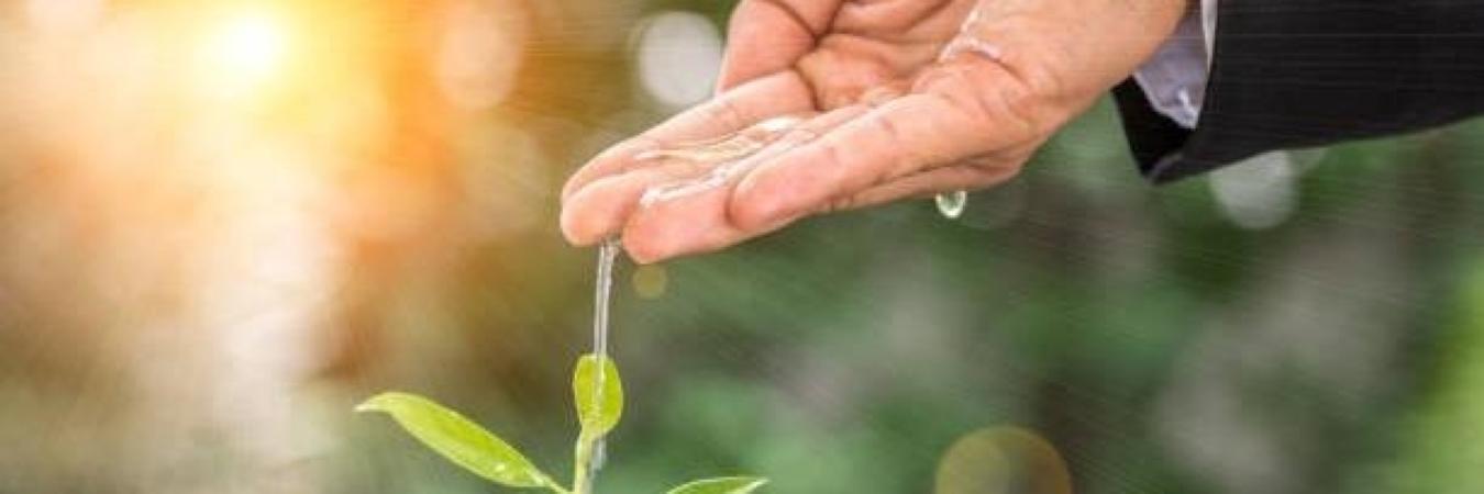 Seila Ltda. Servicios Ecológicos Integrados Latinoamericanos Seila Ltda. Servicios Ecológicos Integrados Latinoamericanos