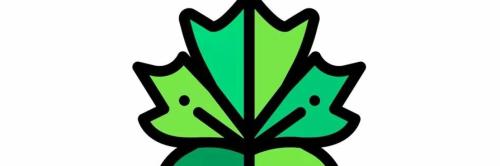 Natural & green