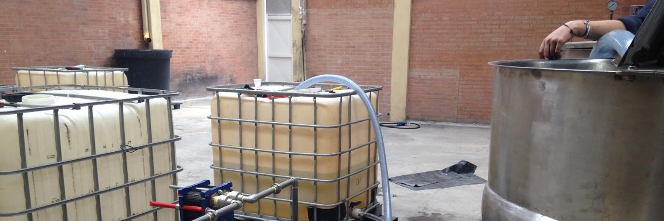 SCP Alimentación Animal Ecológica