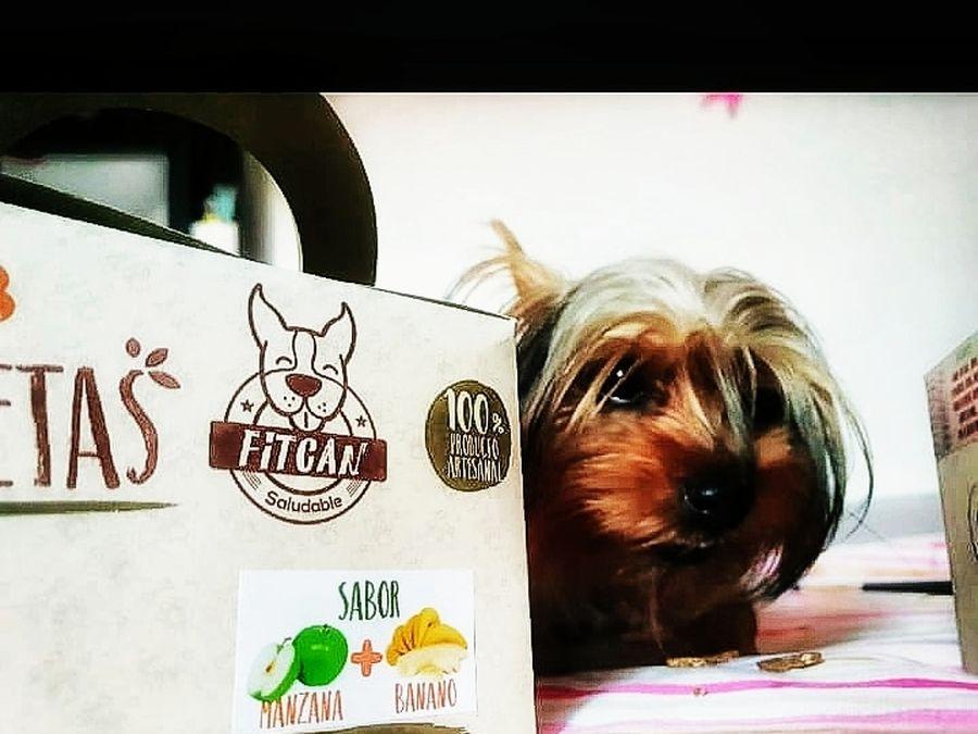 Fitcan Saludable productos naturales,saludables,ecológicos para perros y gatos